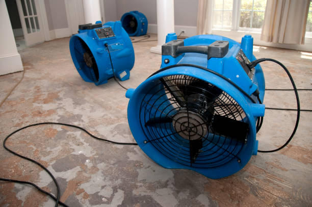 Best Residential water damage restoration  in Comanche, OK