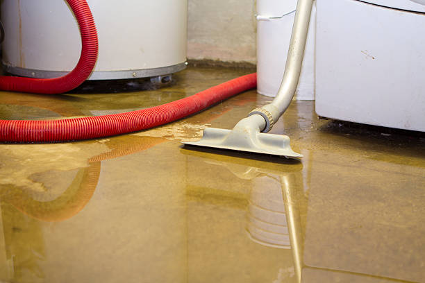 Best Water damage restoration cost  in Comanche, OK