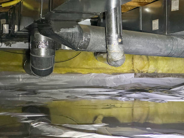 Best Mold removal after water damage  in Comanche, OK